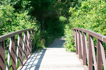 Bridge at the park