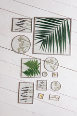 Picture of real plants between the glasses. Herbarium.