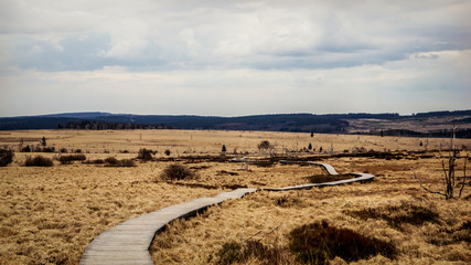 Hautes-Fagnes, Belgique