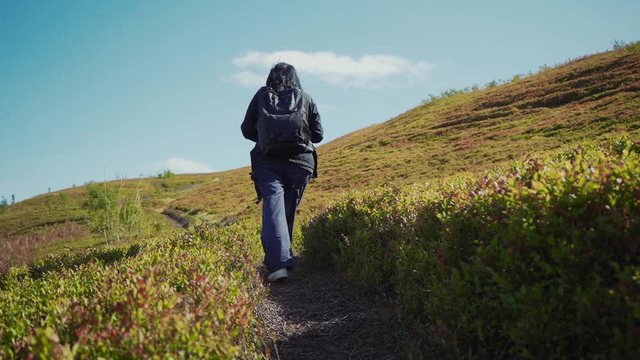 Back view woman hiking in mountains with backpack on sunny day travel female hike leisure people summer forest green healthy lifestyle walking grass happy path trail trip close up slow motion