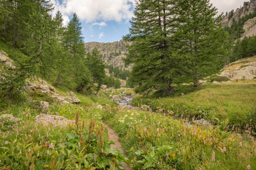 French Alps, Valley of Miracles, pristine nature. National Nature Park of France Mercantour