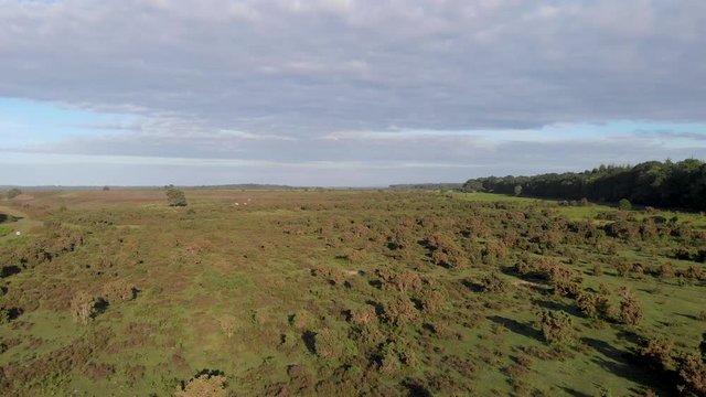 An aerial low altitude backward footage of the New Forest with trees and heartland under a white cloudy sky