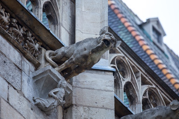 Elements of Gothic architecture. Grotesque, chimera and gargoyle sculptures on the facade of an...