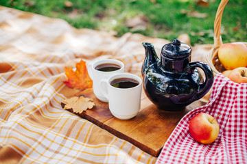 Summer picnic. Basket with food. 