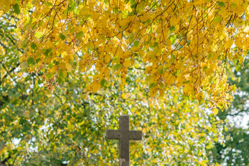 City skyline on an autumn day