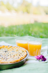 Morning picnic in the park. Tasty food. Snacks and fruits. Picnic basket. Lifestyles