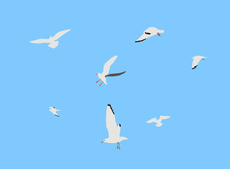 Vector illustration gulls in the sky