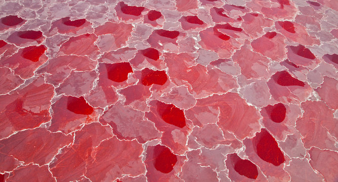 Lago Natron, Valle del Rift, Tanzania, Africa