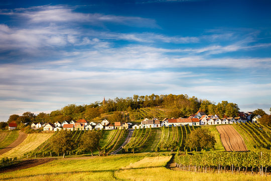 Galgenberg. Cellar alley in Wildend&uuml;rnbach, Weinviertel.