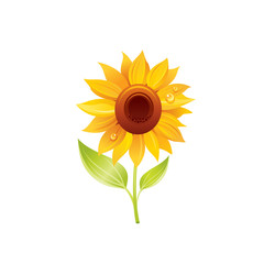 Sunflower flower, floral icon. Realistic cartoon cute plant blossom, spring, summer garden symbol. Vector illustration for greeting card, t shirt print, decoration design. Isolated on white background