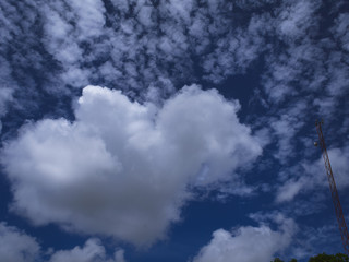 Heart Cloud