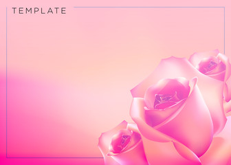 Background with beautiful pink rose. Vector illustration.