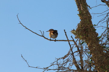afternoon at the park