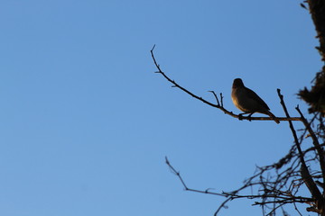 afternoon at the park