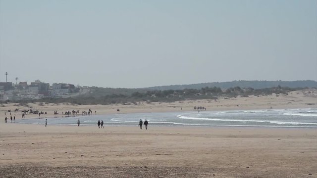 ESSAOUIRA, MOROCCO, MARCH 14, 2014. Four times accelerated. The sand bech with people on a sunny day with a blue sky, in Essouira Morocco, on March 14th, 2014. Camels and buildings far in the horizon.