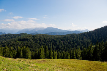 Fototapeta na wymiar Landscape with forest mountains.