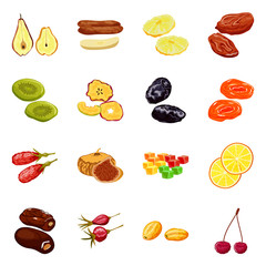 Vector illustration of fruit and dried logo. Collection of fruit and food stock symbol for web.