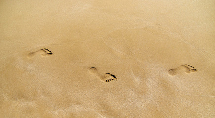 Footprint on sand at the beach. Texture background Footprints of human feet. Copy space