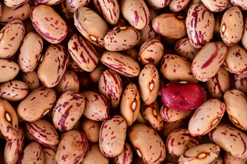 Delicious footage and background of dried quail beans on a heap for preserving