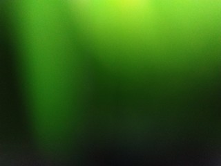 light olive green background - 293244605