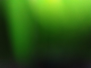 light olive green background - 293244617