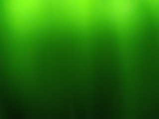 light olive green background - 293244620