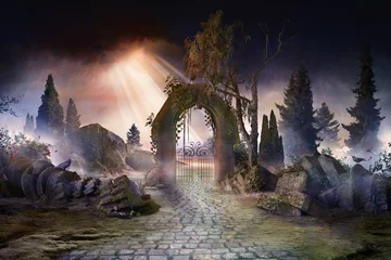 Foto op Canvas wuthering heights, dark, atmospheric landscape with archway and fir trees, sunbeams after thunderstorm © Kanea