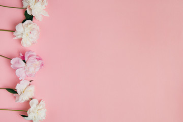 Summer subject photography. Peonies on a pink background