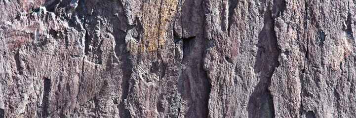 Wild stone wall texture