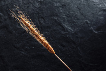 Spikelet of wheat on a black stone. Background, texture. Close-up