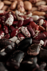 close up view of assorted raw beans