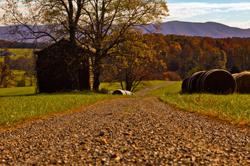 Along this Gravel Road