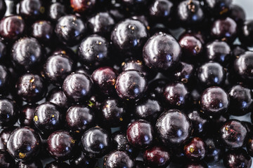 Several Brazilian fruits, called jabuticaba or jaboticaba. Organic fruit and without convergent. Fruits of the month of October.