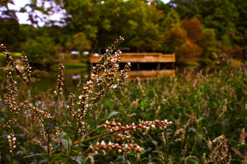 Beauty in an Unlikely Place