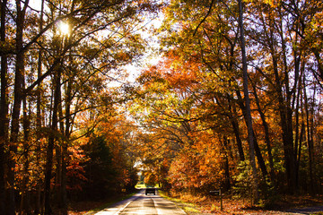 Our Small Piece of the World