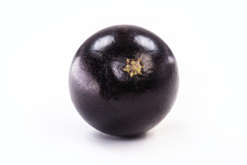 The jabuticaba or jabuticaba is a purplish black-white fruit, typical fruit of Brazil, on isolated white background. Rare organic and healthy fruits in South America, also known as Brazilian grapes.