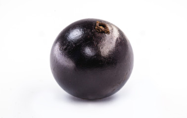 The jabuticaba or jabuticaba is a purplish black-white fruit, typical fruit of Brazil, on isolated white background. Rare organic and healthy fruits in South America, also known as Brazilian grapes.