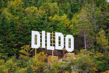 Sign for the town of Dildo, Newfoundland and Labrador, Canada.