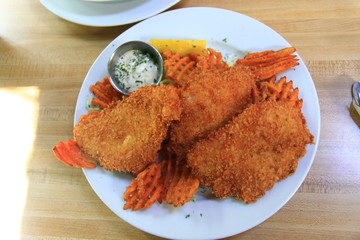fish with fries on a plate