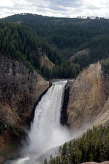 Yellowstone Grand Canyon