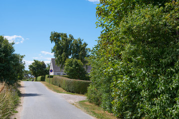 Fototapeta na wymiar Rural road in the summer home destination of Svino in Denmark