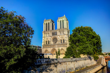 Fototapeta na wymiar Notre Dame Cathedral in Paris France