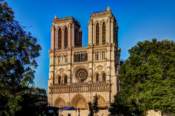 Fototapeta na wymiar Notre Dame Cathedral in Paris France