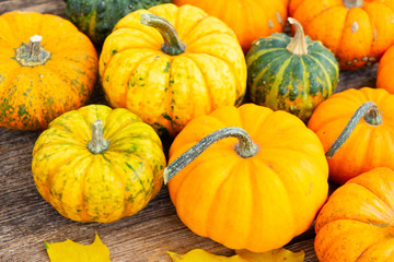 pumpkin on table