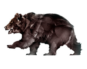 drawn animal bear on a white background