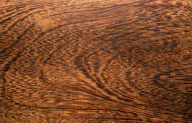 Hard brown wood texture closeup macro