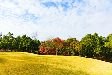 日本の秋のイメージ：スポーツの秋にゴルフ場で汗を流しつつ紅葉と秋空のコントラストを楽しむシーン