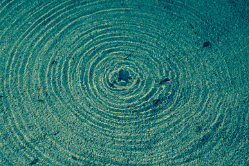 Fototapeta na wymiar swirl spiral water and an insect abstract artistic pattern natural