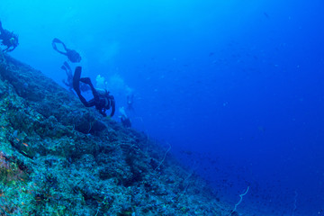 Obraz premium パラオ_ペリリュー_スキューバダイビング