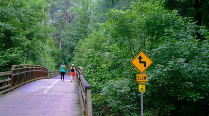 The Big Creek Greenway is over 20 miles of paved and board fitness trails spanning two counties north of Atlanta through lush green wetlands.